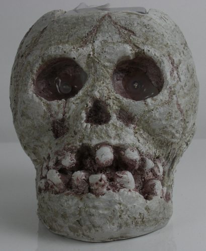 solar skull