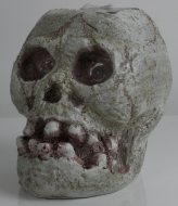 solar skull
