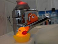 LED flashing animals