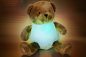 Preview: Teddy Night Light