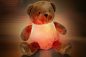 Preview: Teddy Night Light