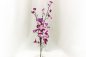Preview: LED-Orchideen I Orchideen mit leuchtenden Blüten Blumendekoration