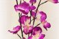 Preview: LED-Orchideen I Orchideen mit leuchtenden Blüten Blumendekoration