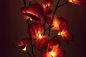 Preview: LED-Orchideen I Orchideen mit leuchtenden Blüten Blumendekoration