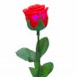 Preview: Romantic LED Roses
