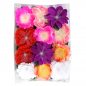 Preview: LED-Blüten zum aufkleben