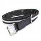 Preview: safety belt