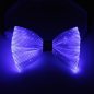 Preview: Blaue Fliege