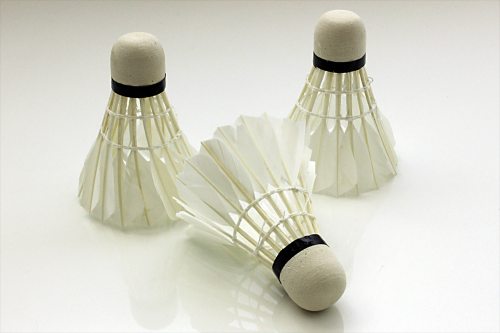 LED Badminton Set