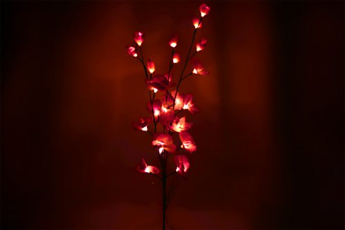 LED-Orchideen I Orchideen mit leuchtenden Blüten Blumendekoration