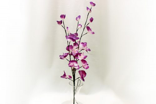 LED-Orchideen I Orchideen mit leuchtenden Blüten Blumendekoration