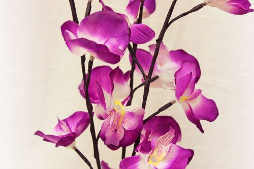 LED-Orchideen I Orchideen mit leuchtenden Blüten Blumendekoration