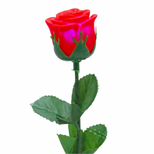 Romantic LED Roses