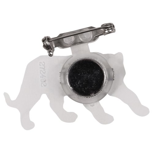 back pin