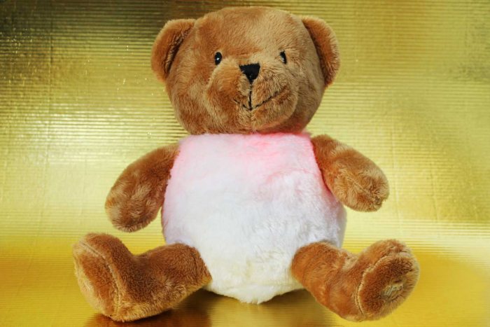 Teddy Night Light