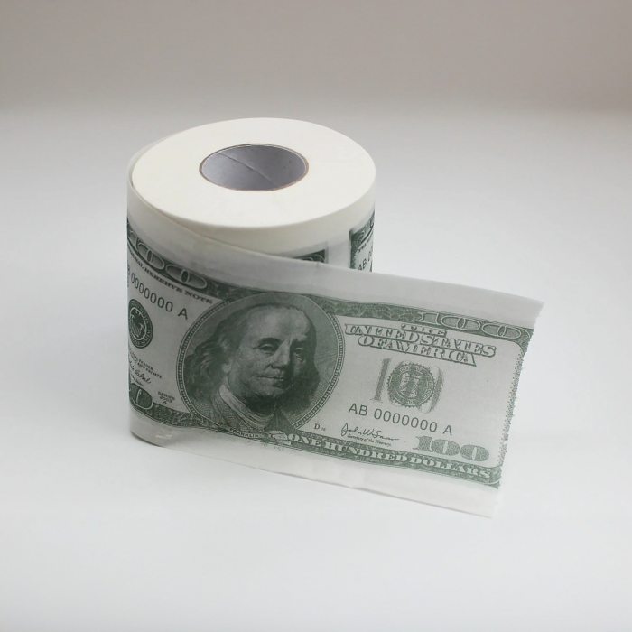 100 Dollar Toilet Paper