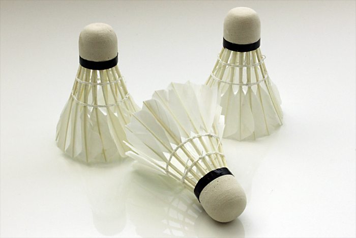 LED Badminton Set