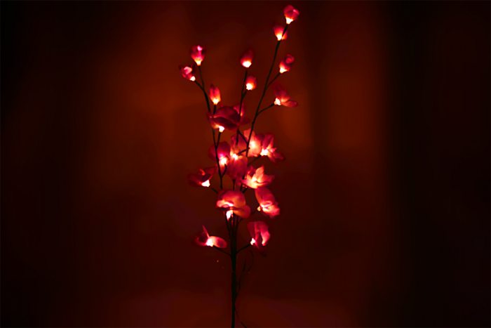 LED-Orchideen I Orchideen mit leuchtenden Blüten Blumendekoration