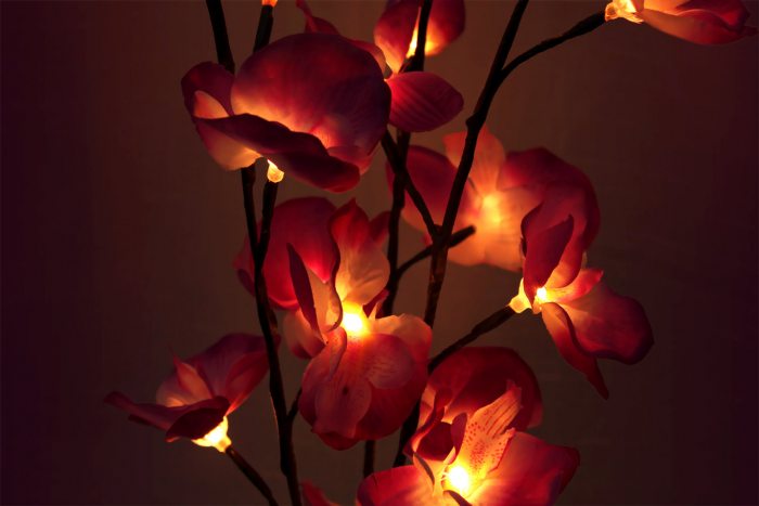 LED-Orchideen I Orchideen mit leuchtenden Blüten Blumendekoration