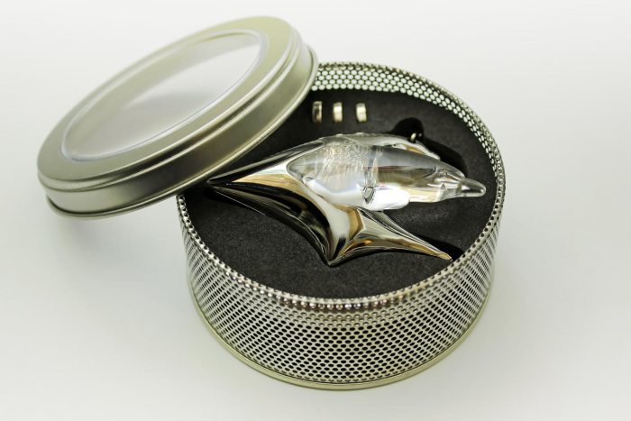 LED Farbwechsel-Delfinkette Delphin Schmuckanhänger mit Kette