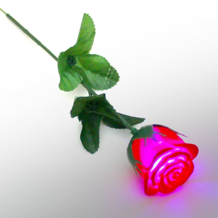 Romantic LED Roses