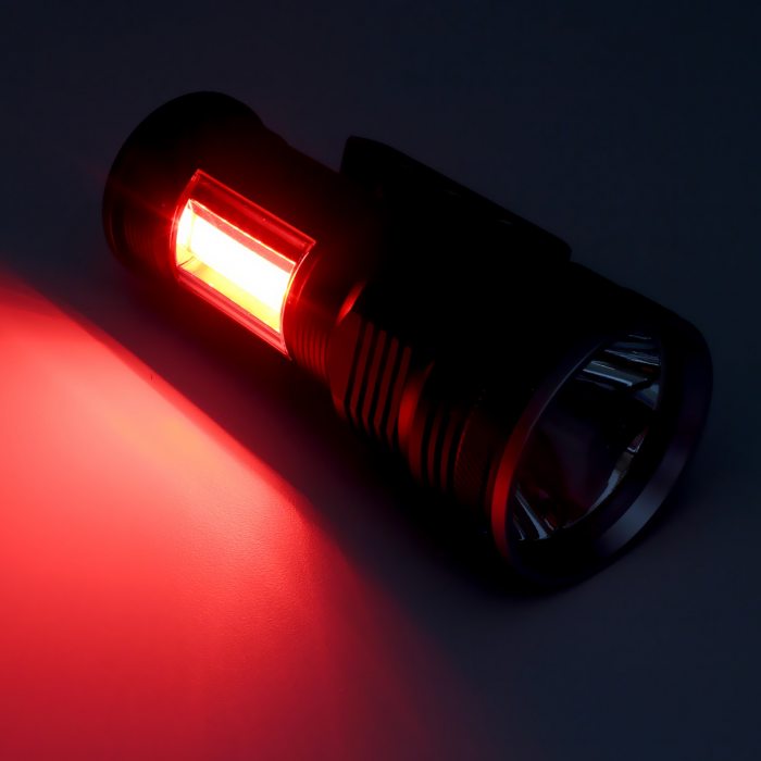 Red warning light with flashing signal