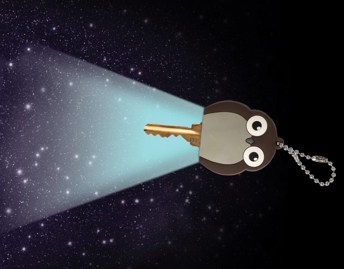 LED Keychain Owl