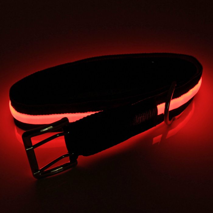 Red LED belt