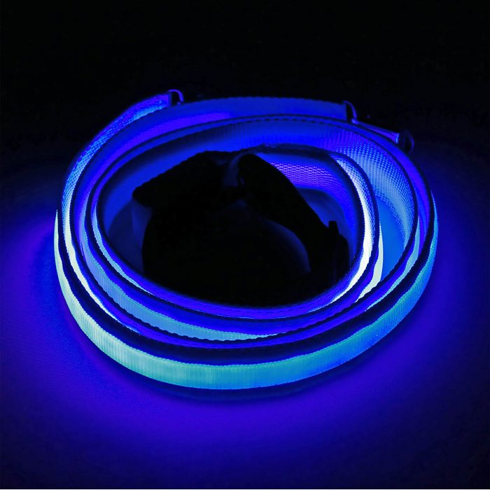 LED Luminous Braces red green or blue