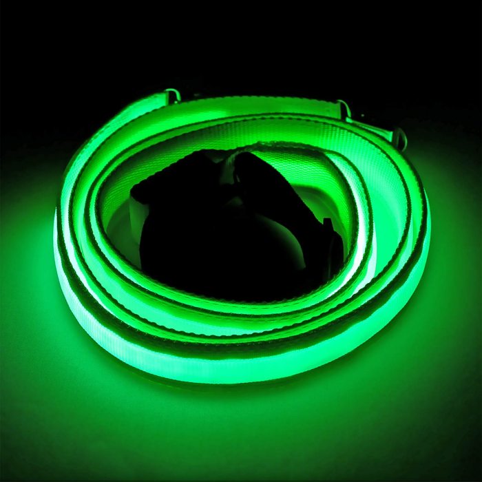 LED Luminous Braces red green or blue