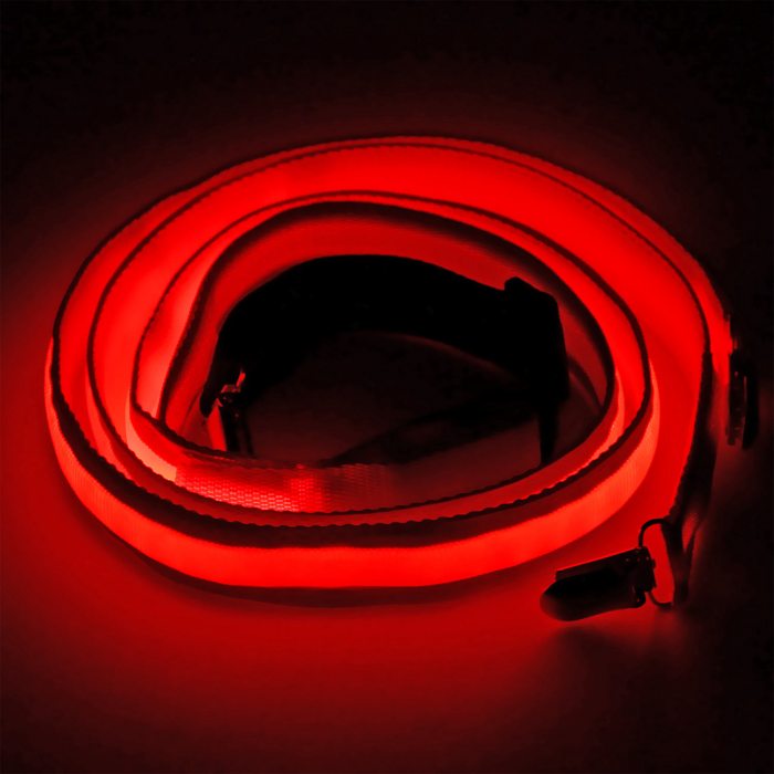 LED Luminous Braces red green or blue