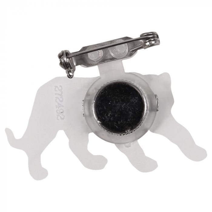 back pin