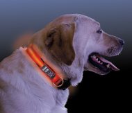 LED-Hundehalsband Nite Ize LED-Halsband für Hunde