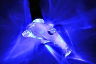 LED Dolphin Chain