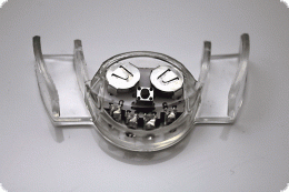 Flashing Teeth LED Blinking Mouthpiece