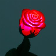 leuchtende Rose dekoration Geschenkidee