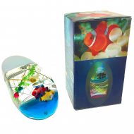 Orientation light at night