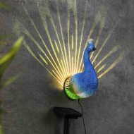 Color changing peacock decorative light