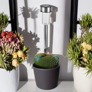 Solar ground spike light with white LED