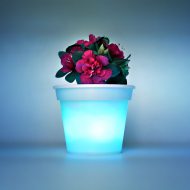 Color Changing Flower Pot