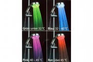 LED Shower