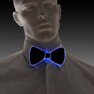 Blau leuchtende Fliege