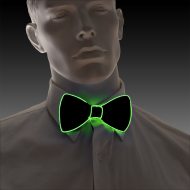 Blau leuchtende Fliege