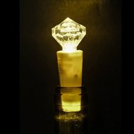 Luminous bottle cap & bottle light