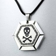 Rubber collar with stainless steel skull pendant