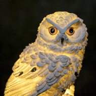 Solar owl with warm-white LED for the garden